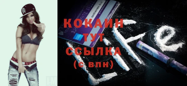 прущие грибы Заволжск