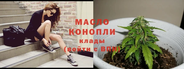 прущие грибы Заволжск