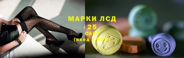 прущие грибы Заволжск