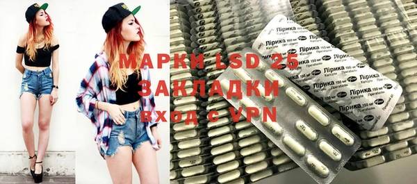 прущие грибы Заволжск