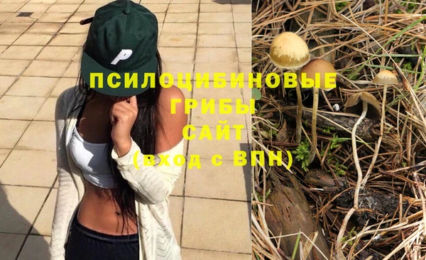 соль ск Заволжье
