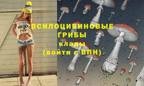 прущая мука Заводоуковск