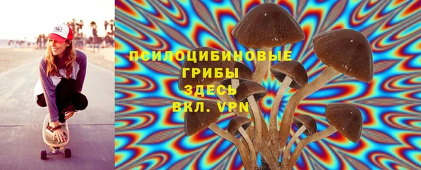 соль ск Заволжье