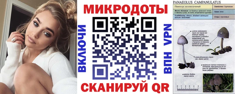 гидра зеркало  Среднеуральск  Псилоцибиновые грибы Psilocybe 